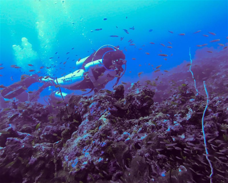 Divesite Image