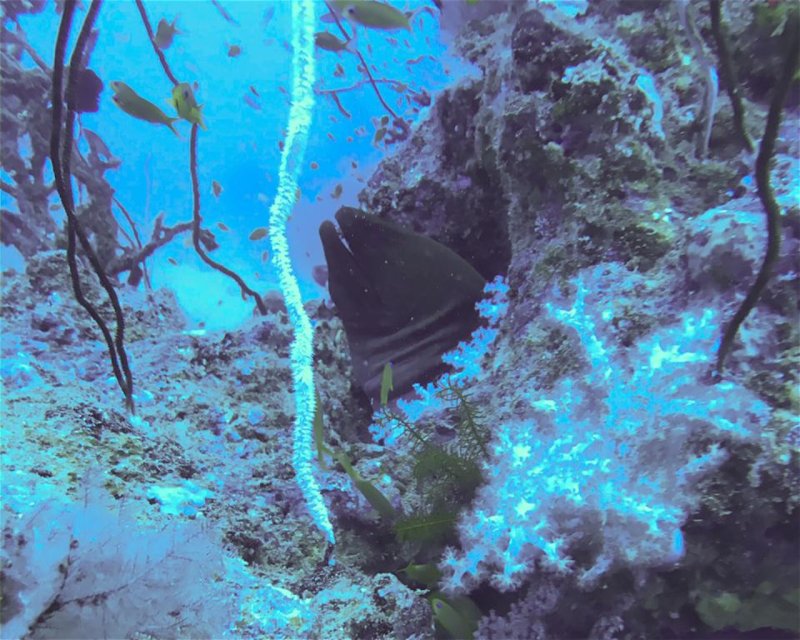 Divesite Image