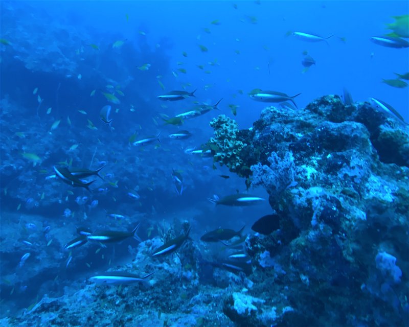 Divesite Image