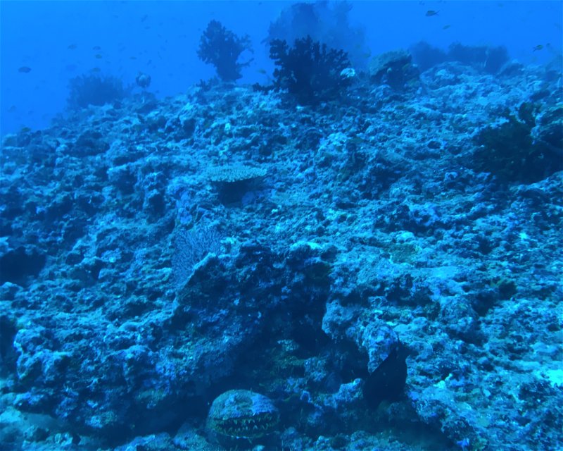 Divesite Image