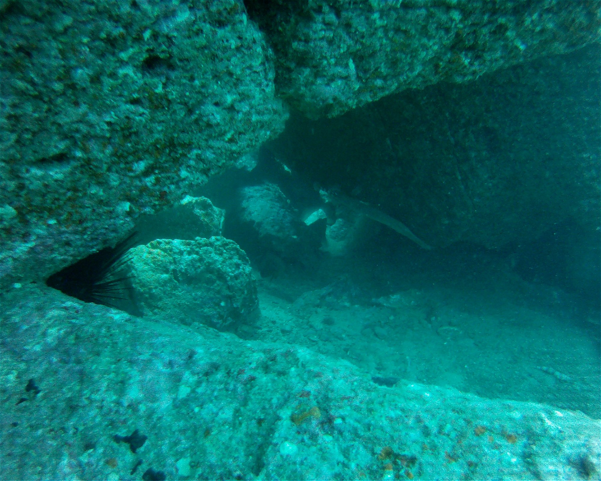 SCUBA SUR, 35120 Arguineguin