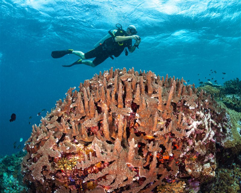 Divesite Image