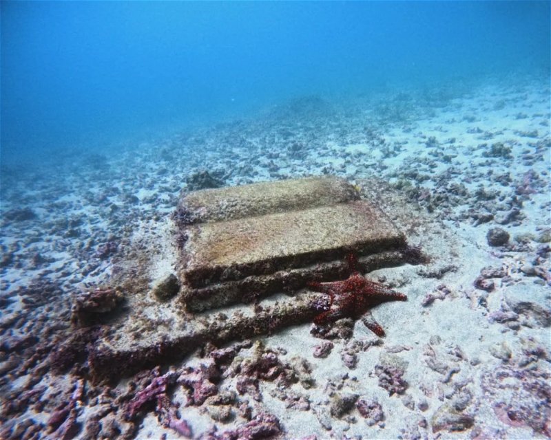 Divesite Image
