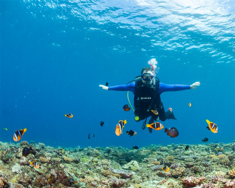 Divesite Image