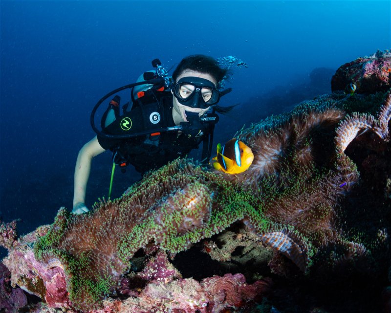 Divesite Image