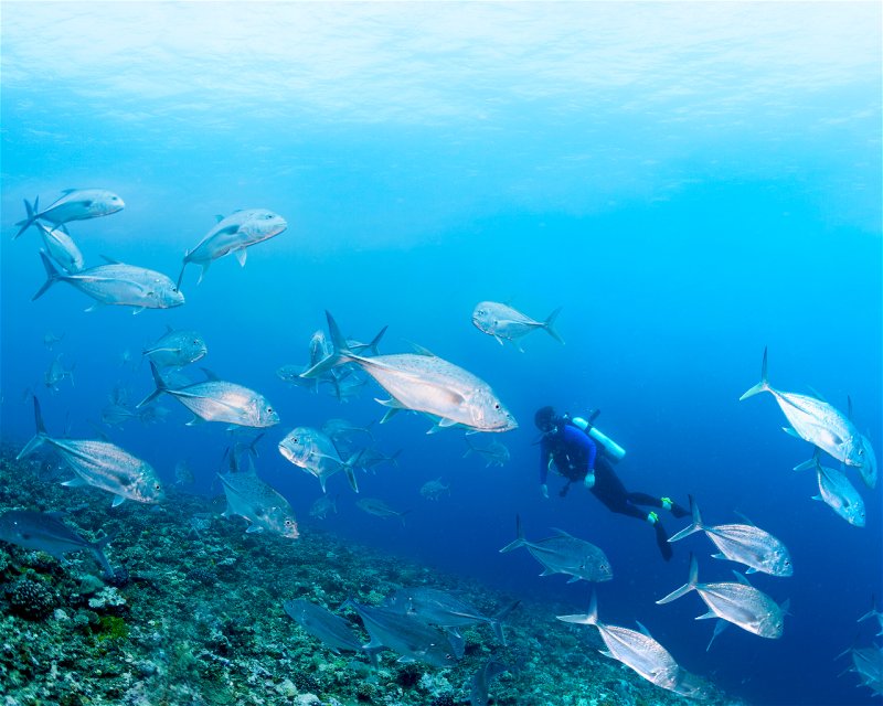 Divesite Image