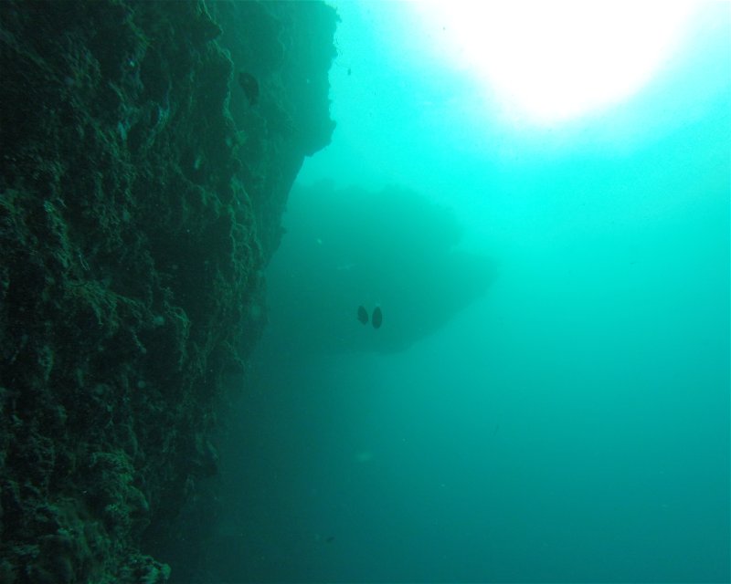 Divesite Image