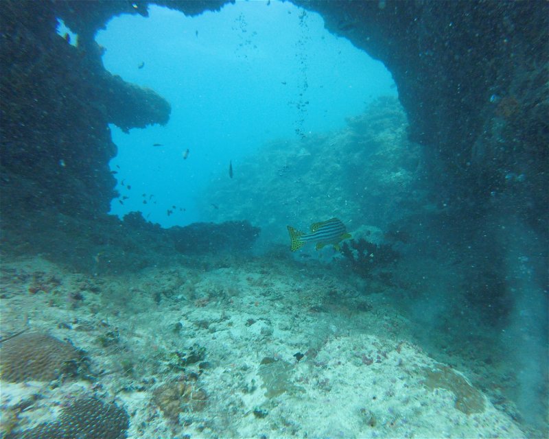 Divesite Image
