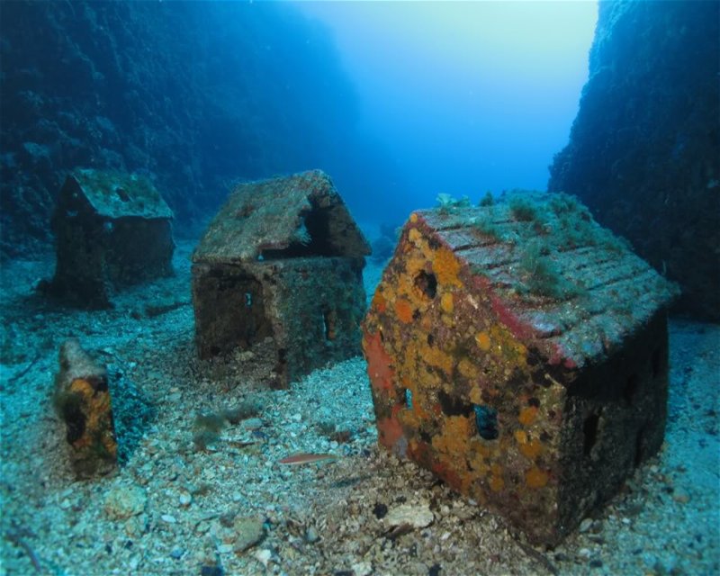 Divesite Image