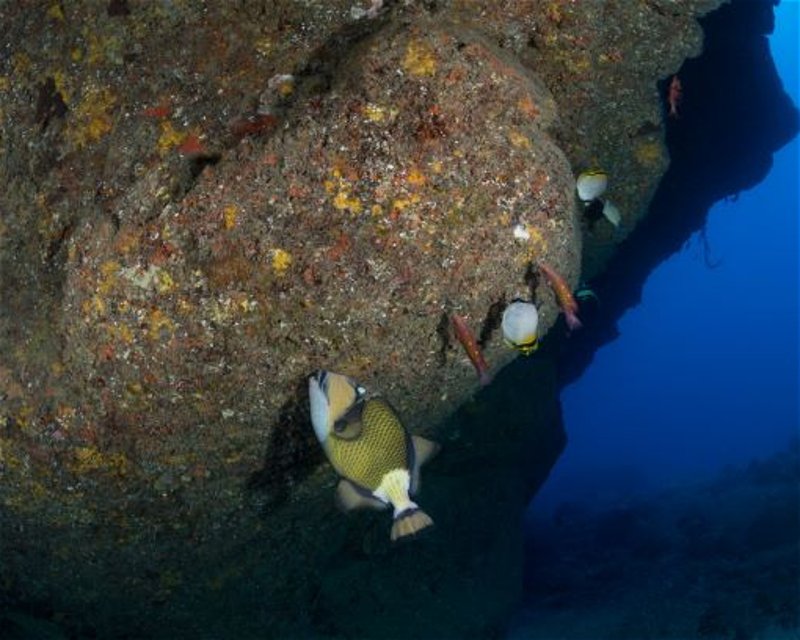 Divesite Image