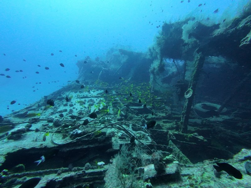 Divesite Image