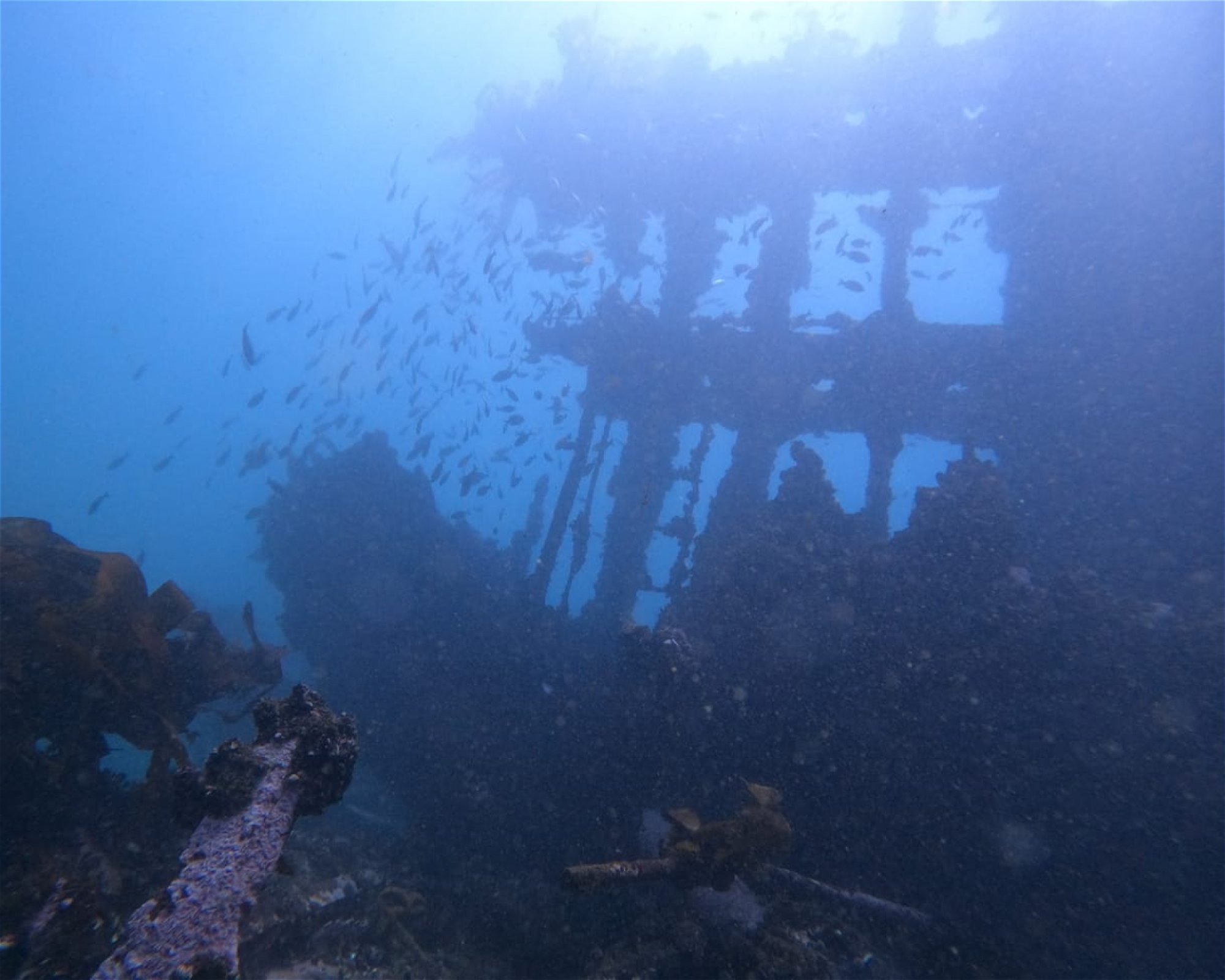 Impact Divers, 7975 Cape Town