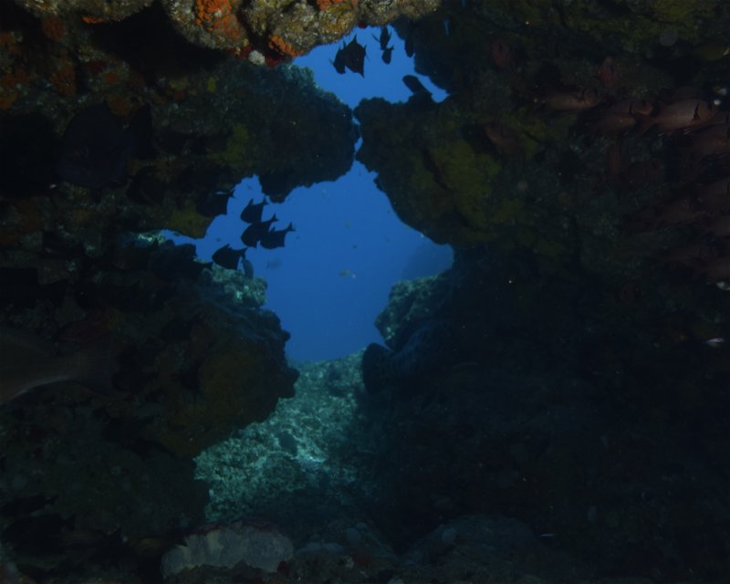 Divesite Image