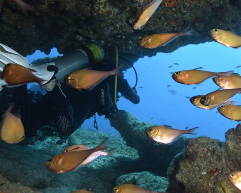 Divesite Image