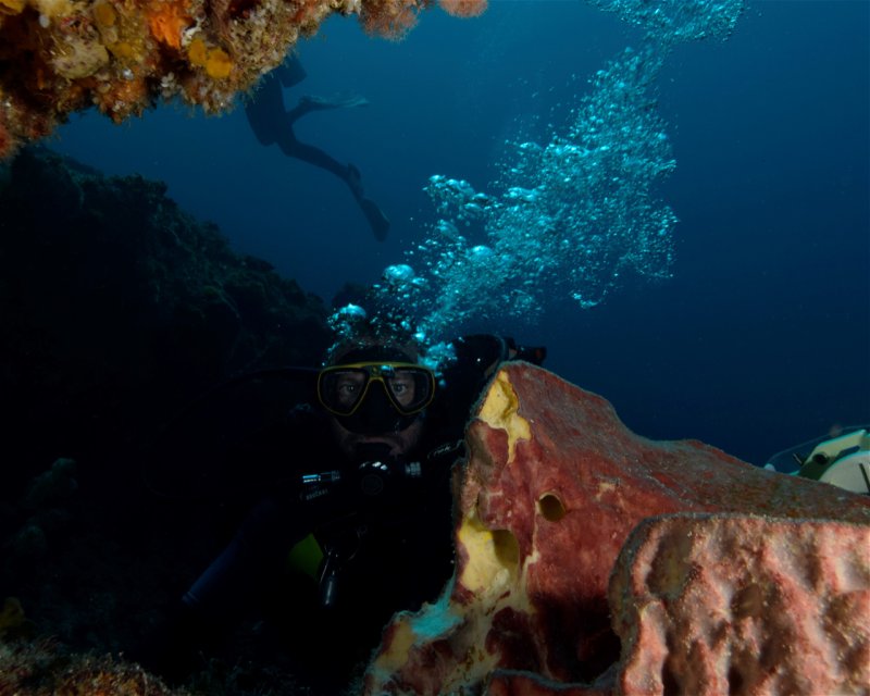 Divesite Image