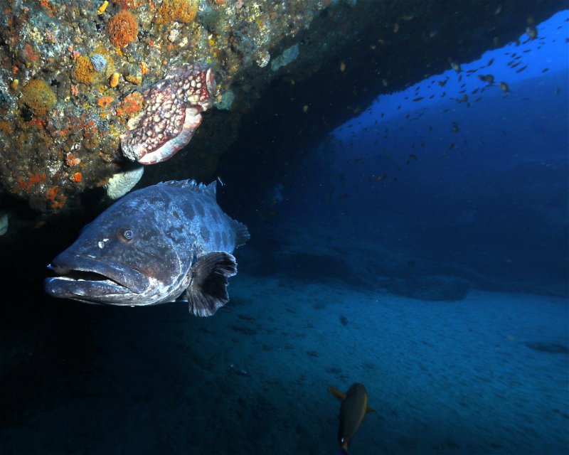 Divesite Image