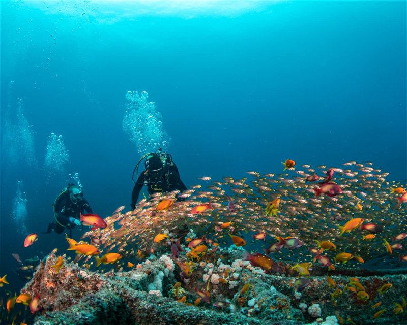 Divesite Image