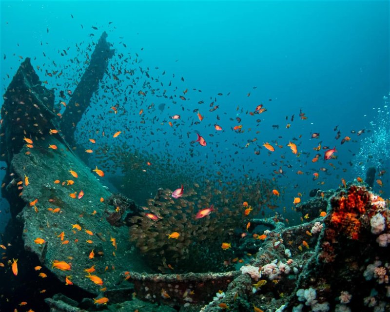 Divesite Image