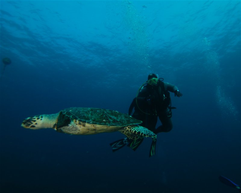 Divesite Image