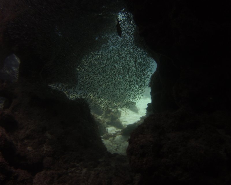 Divesite Image