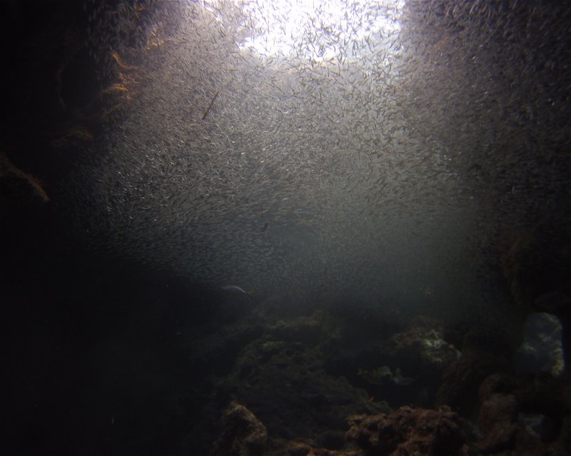 Divesite Image