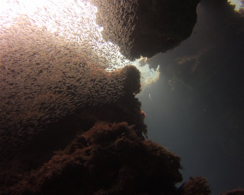 Divesite Image