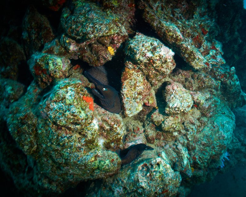 Divesite Image