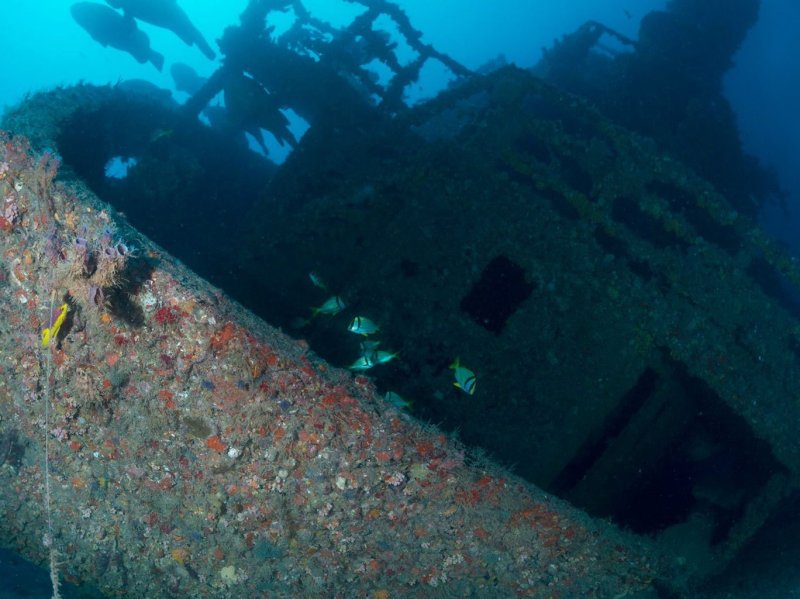 Divesite Image