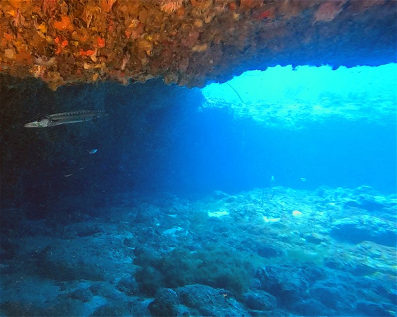 Divesite Image