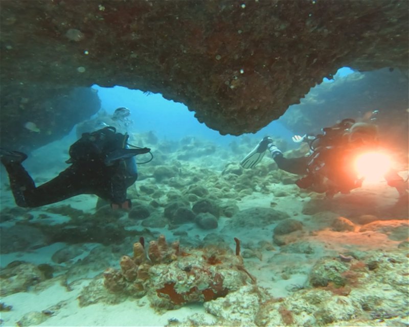 Divesite Image