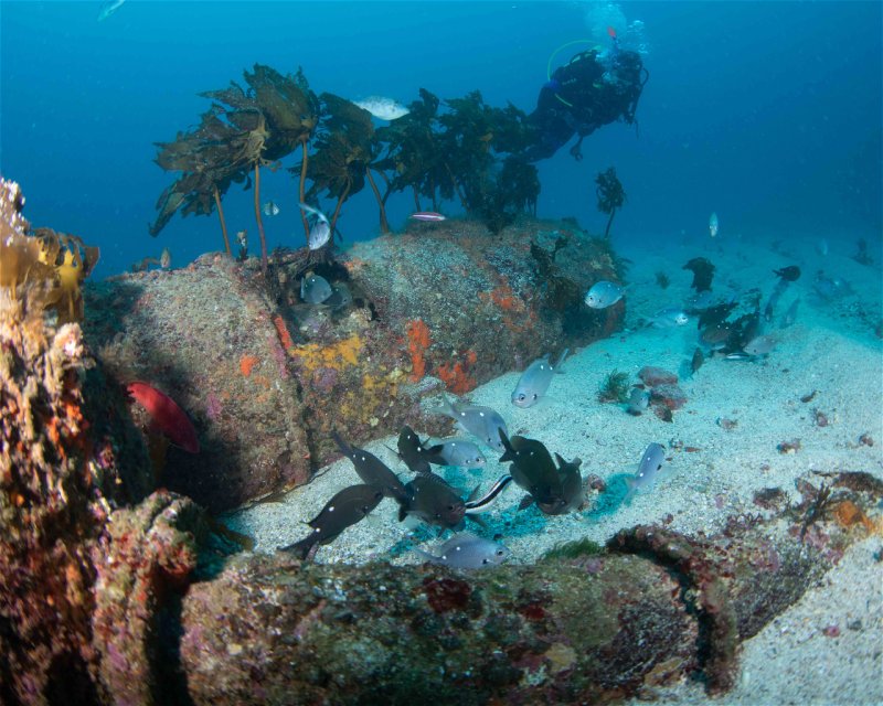 Divesite Image