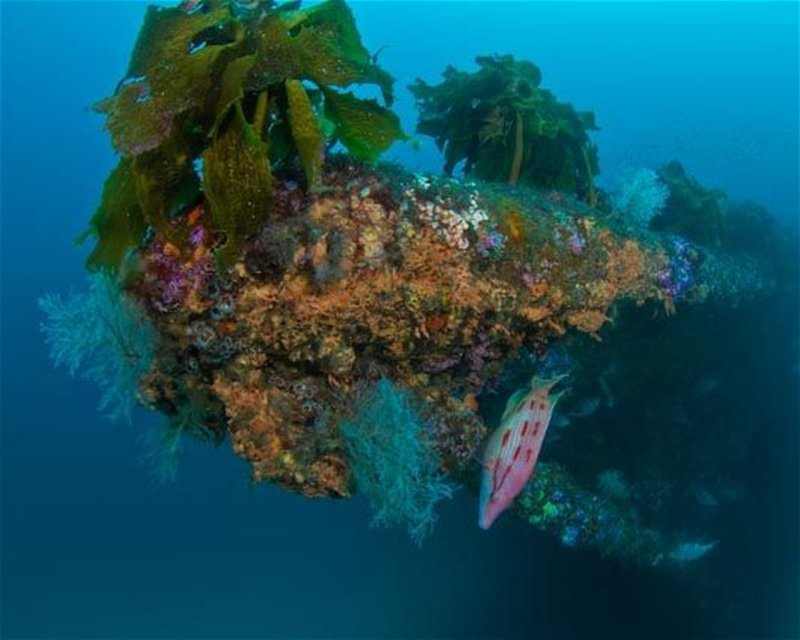 Divesite Image