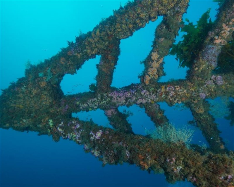 Divesite Image