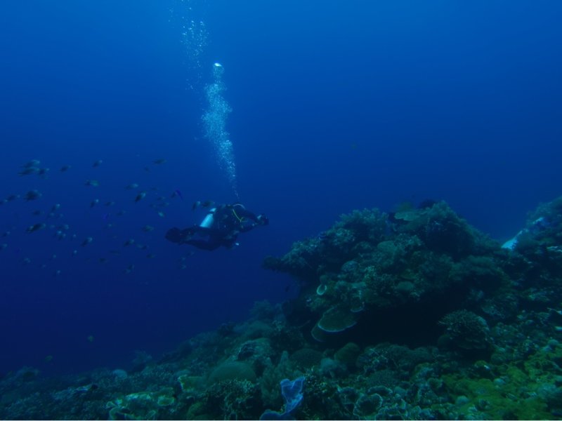 Divesite Image