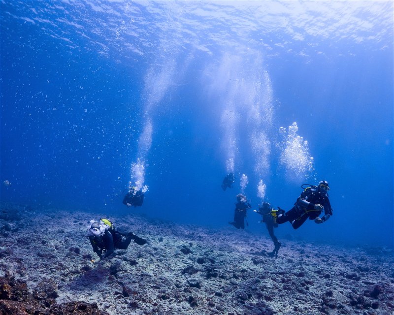 Divesite Image