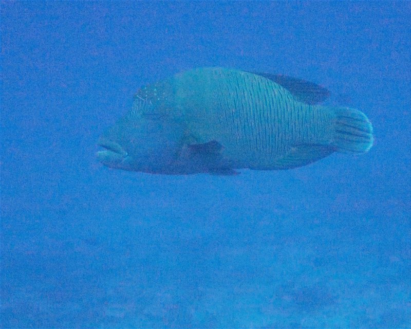 Divesite Image