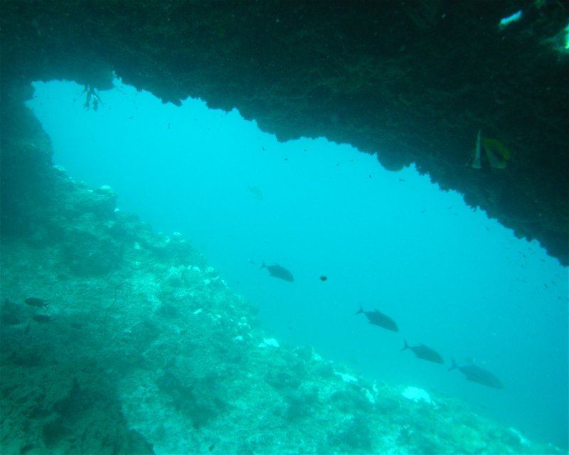 Divesite Image