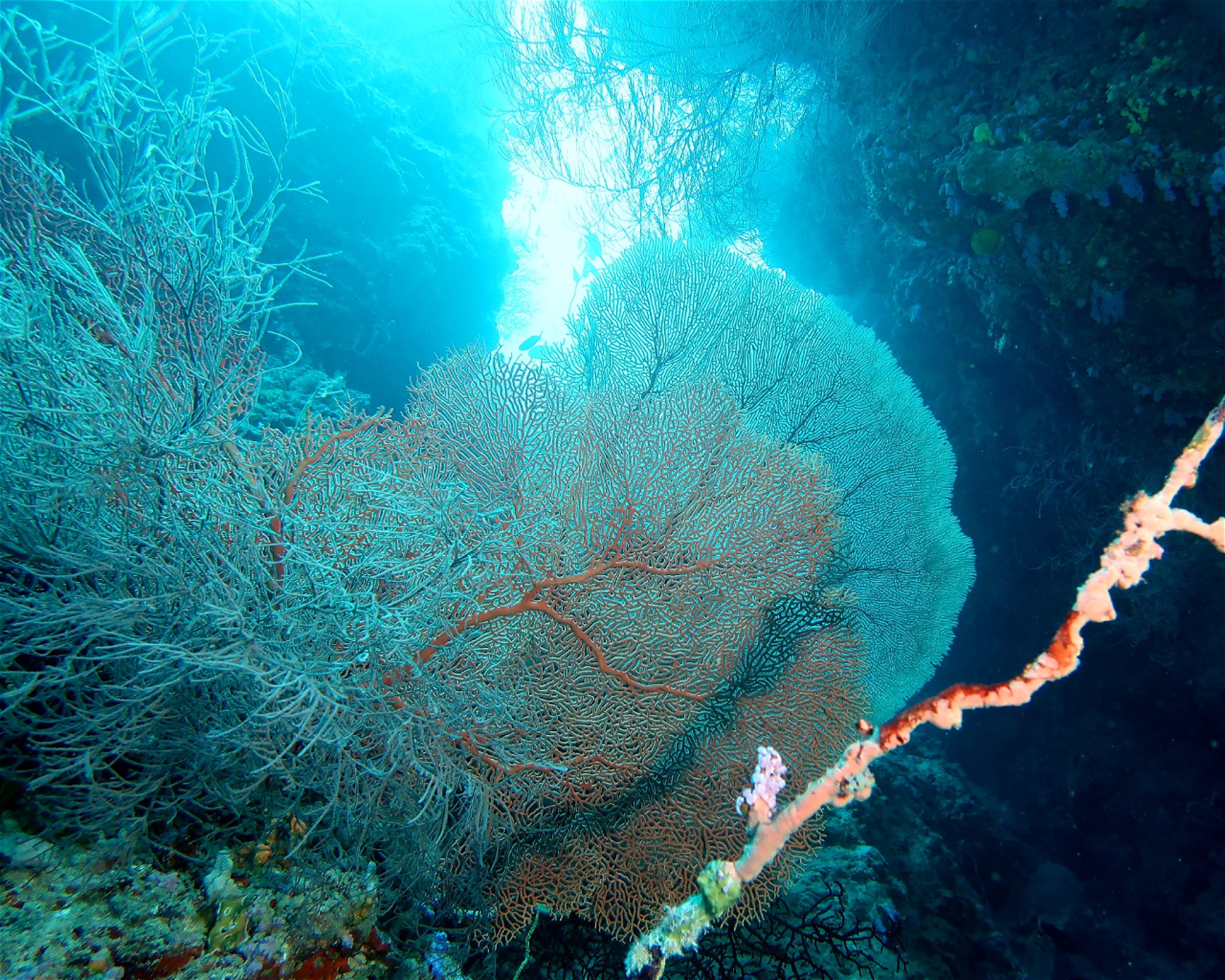 DivePoint Meedhupparu, 960 Meedhupparu