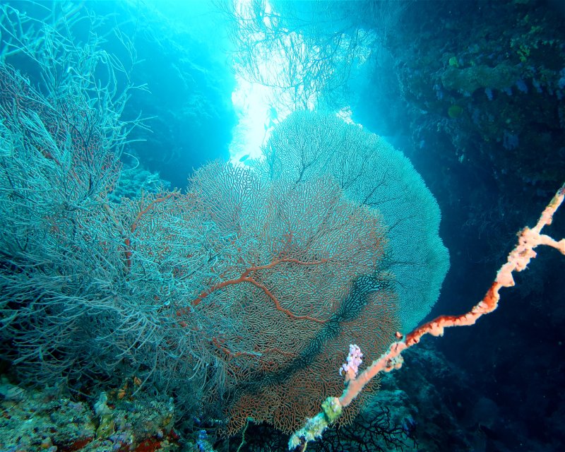 Divesite Image