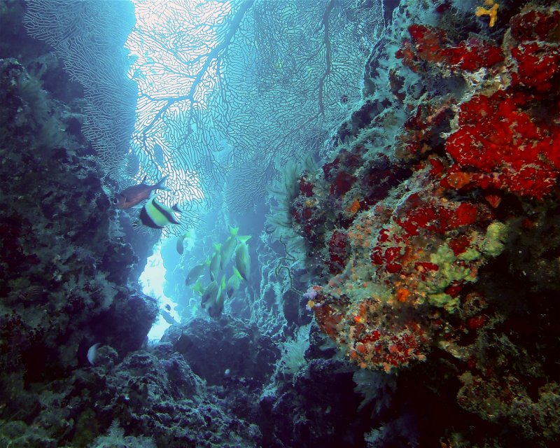 Divesite Image