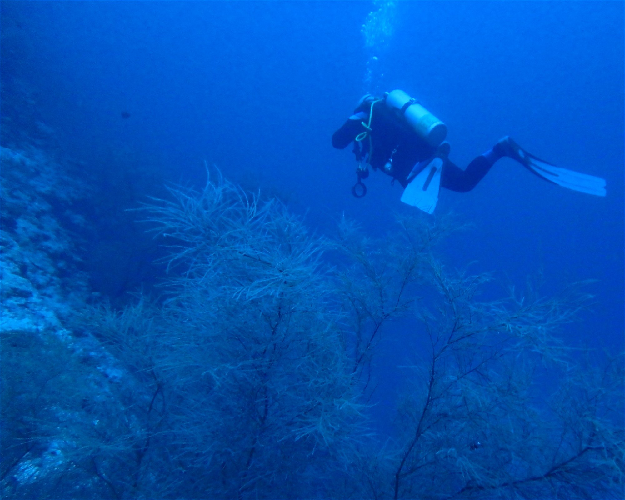 DivePoint Meedhupparu, 960 Meedhupparu