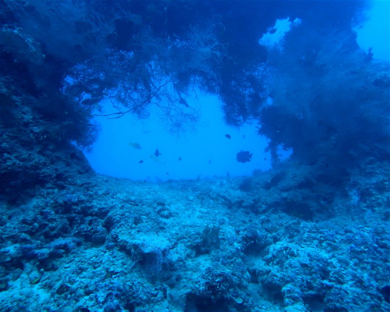 Divesite Image
