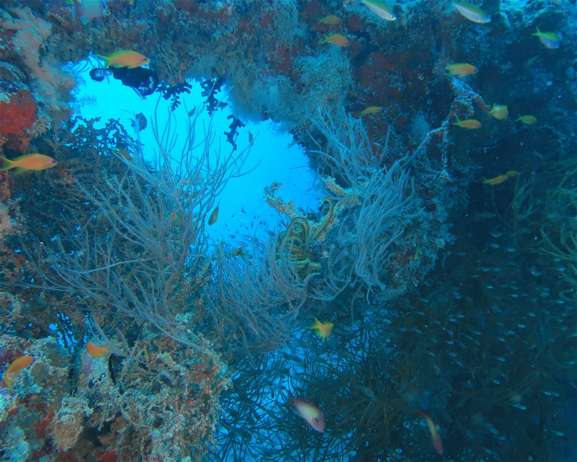 DivePoint Meedhupparu, 960 Meedhupparu