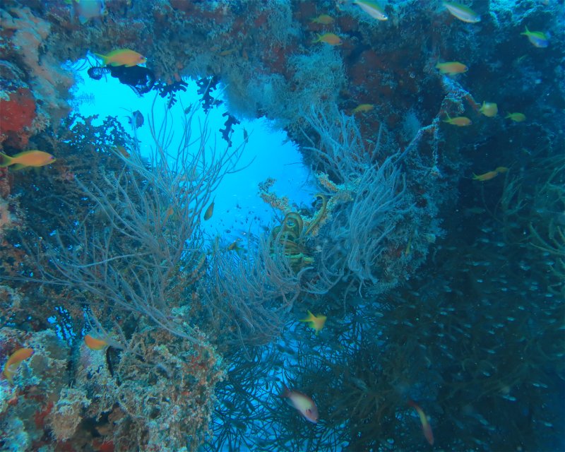 Divesite Image