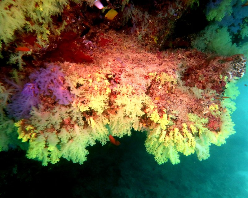 Divesite Image