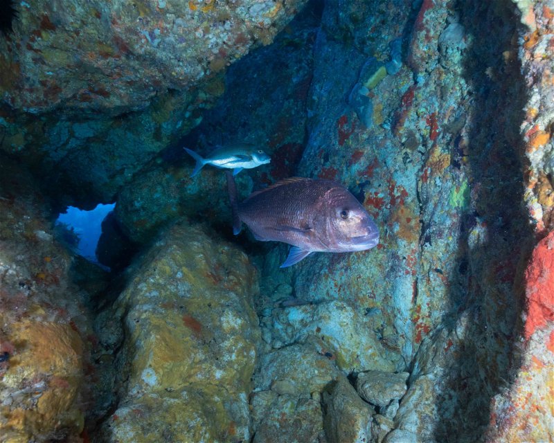 Divesite Image