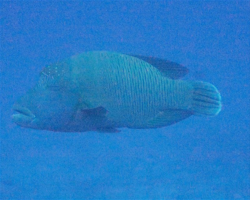 Divesite Image