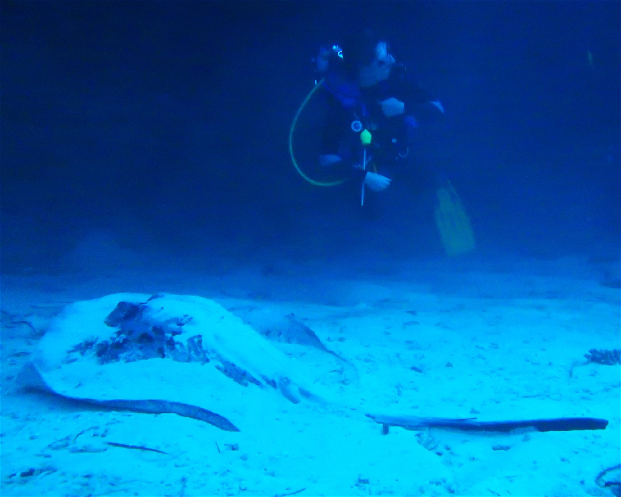 DivePoint Meedhupparu, 960 Meedhupparu