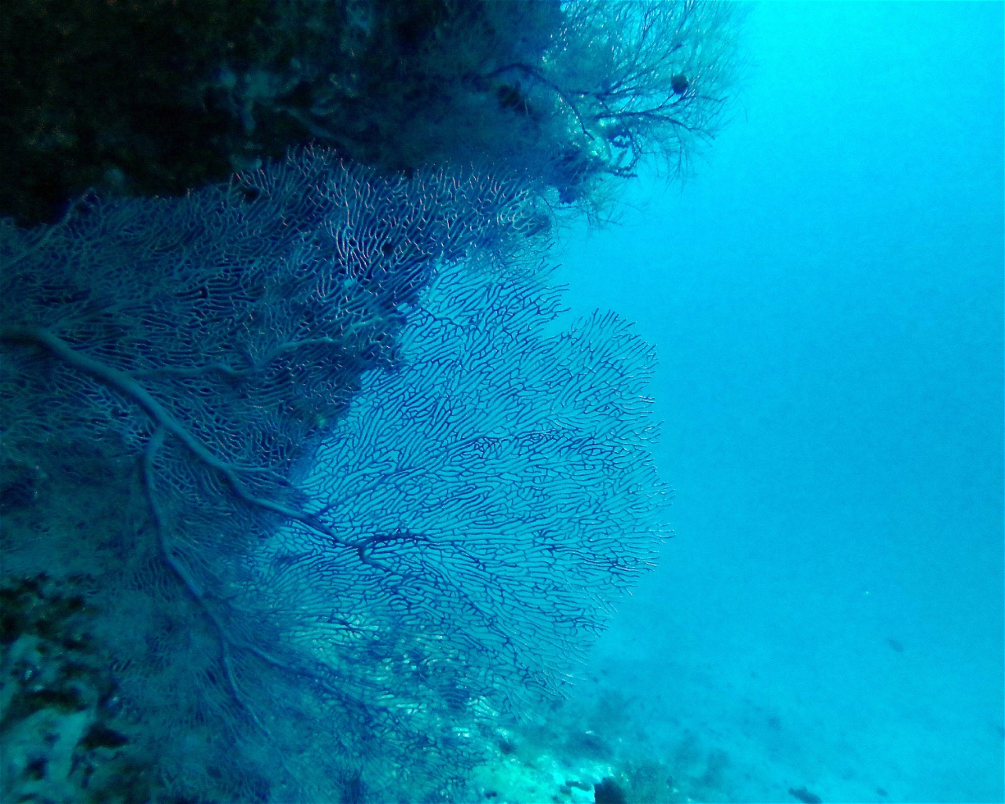 DivePoint Meedhupparu, 960 Meedhupparu