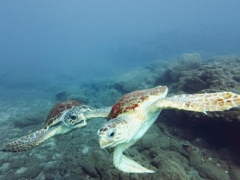 Divesite Image